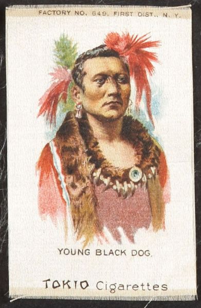 S67 49 Young Black Dog.jpg